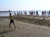 Filename=P7120101.JPG
Filesize=80KB
Dimensions=640x479
Date added=Aug 17, 2010 P7120101.JPG