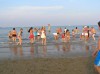 Filename=P7120107.JPG
Filesize=70KB
Dimensions=640x479
Date added=Aug 17, 2010 P7120107.JPG