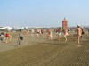 Filename=P7160239.JPG
Filesize=75KB
Dimensions=640x479
Date added=Aug 17, 2010 P7160239.JPG