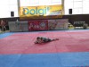 dolgit_02.JPG